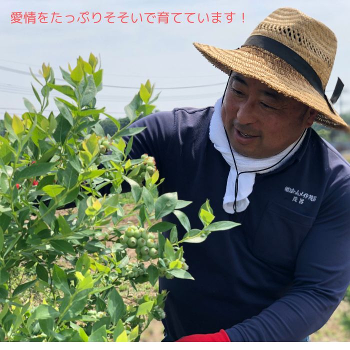 Morock FARM ちょっと贅沢なご当地アイス（岩舟産ブルーベリー使用）