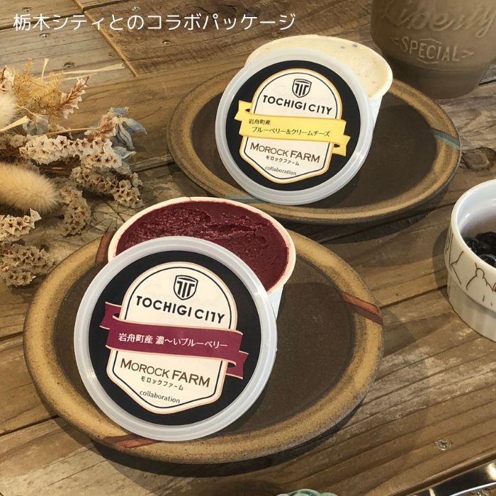 Morock FARM ちょっと贅沢なご当地アイス（岩舟産ブルーベリー使用）