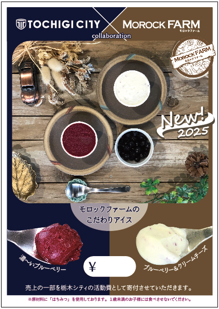 Morock FARM ちょっと贅沢なご当地アイス（岩舟産ブルーベリー使用）