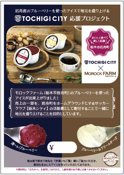 Morock FARM ちょっと贅沢なご当地アイス（岩舟産ブルーベリー使用）