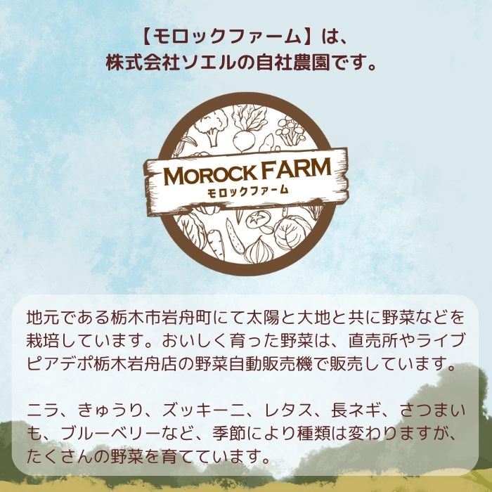Morock FARM ちょっと贅沢なご当地アイス（栃木市岩舟町産ブルーベリー使用）
